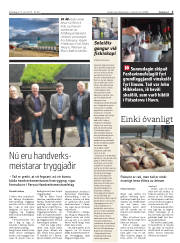 Síða 3