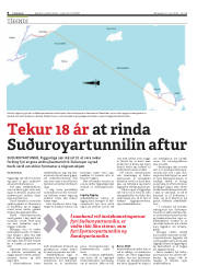 Síða 8
