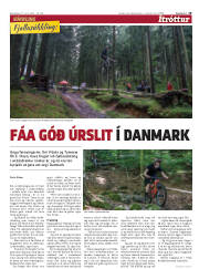 Síða 19