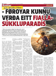 Síða 20