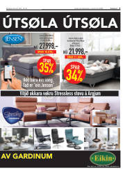Síða 3
