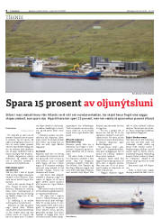 Síða 6