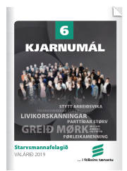 Síða 17