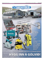 Síða 35