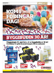 Síða 3