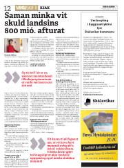 Síða 12