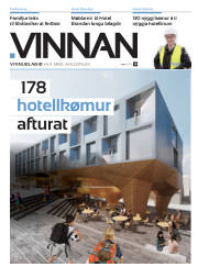 Síða 25