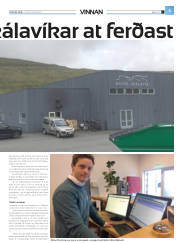 Síða 29