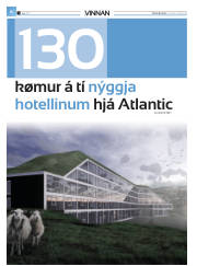 Síða 30