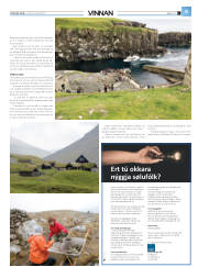 Síða 39