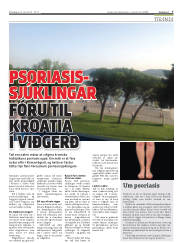 Síða 7