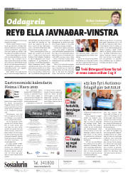Síða 2