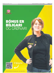 Síða 3