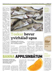 Síða 9