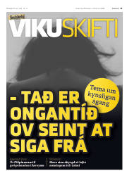 Síða 13