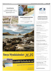 Síða 15