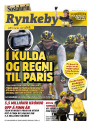 Síða 17