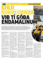 Síða 22