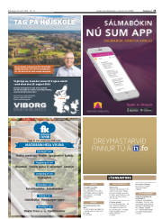 Síða 25