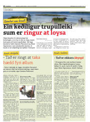 Síða 26