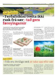 Síða 27