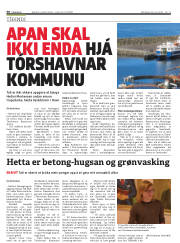 Síða 30