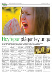 Síða 34