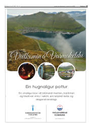Síða 35
