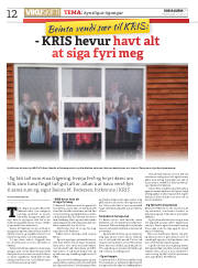 Síða 12