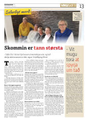 Síða 13