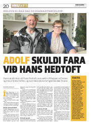 Síða 20