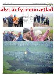 Síða 5
