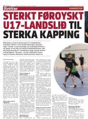 Síða 14