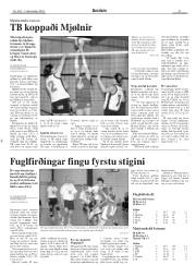 Síða 21