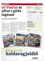Síða 20
