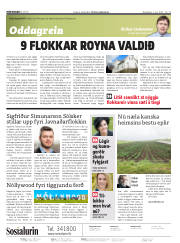 Síða 2
