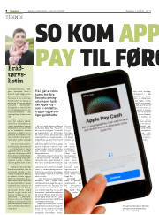 Síða 8