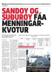 Síða 20