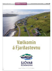Síða 25