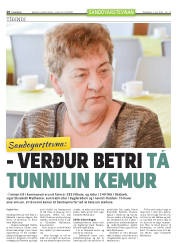 Síða 28