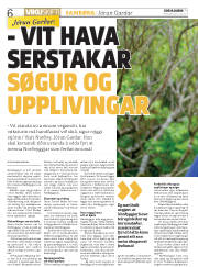 Síða 6