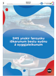 Síða 19