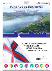 Síða 31