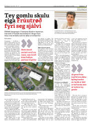 Síða 3