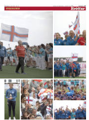 Síða 17