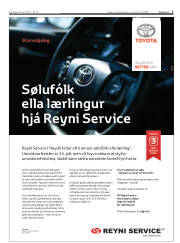 Síða 3
