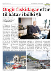 Síða 5
