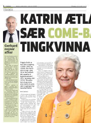 Síða 8