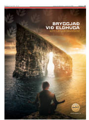 Síða 13