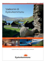 Síða 15